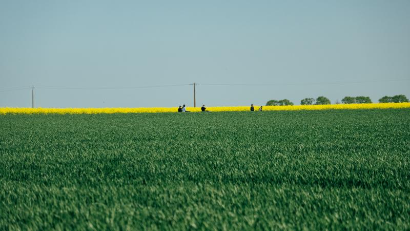 A découvrir aux alentours
