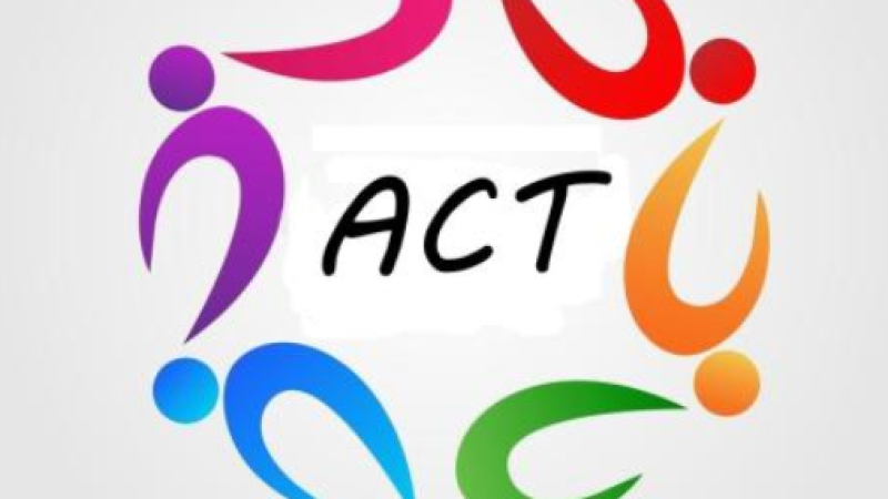 ACT (Association Culturelle Tessonnaise)