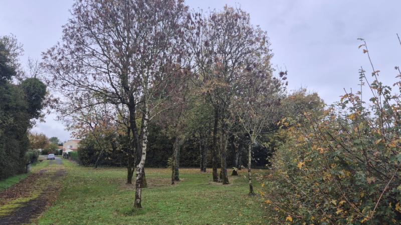 Aires de pique-nique